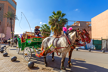 Horse drawn carriage, Marrakesh, (Marrakech), Morocco, North Africa, Africa