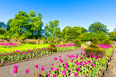 The Walled Garden, Bellahouston Park, Glasgow, Scotland, United Kingdom, Europe