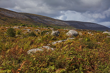 Slieve Elva, The Burren, County Clare, Munster, Republic of Ireland, Europe