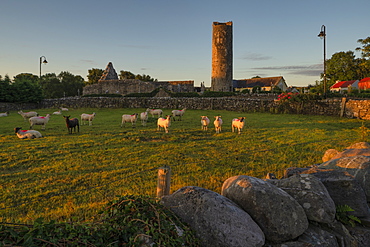 Aghagower, County Mayo, Connacht, Republic of Ireland, Europe