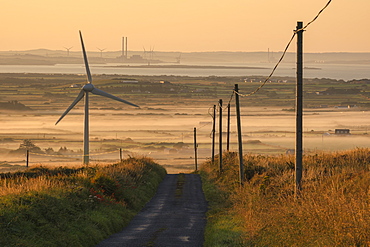 Shannon Estuary, County Clare, Munster, Republic of Ireland, Europe