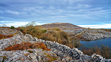 Burren National Park, County Clare, Munster, Republic of Ireland, Europe