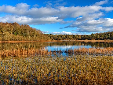 Dromore Lough, County Clare, Munster, Republic of Ireland, Europe