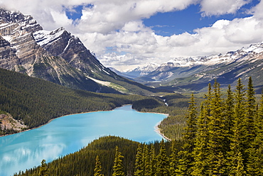 Peyto Lake, Banff National Park, UNESCO World Heritage Site, Alberta, Canada, North America