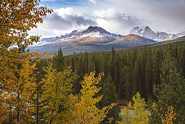 Mountain range at Morant's Curve in autumn foliage, Banff National Park, UNESCO World Heritage Site, Alberta, Rocky Mountains, Canada, North America