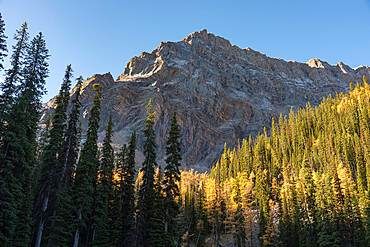 Storm Mountain from the Arnica Lake Trail in autumn, Banff National Park, UNESCO World Heritage Site, Alberta, Canadian Rockies, Canada, North America