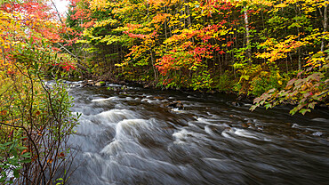 Miller's Falls in Autumn, Fall River, Nova Scotia, Canada, North America