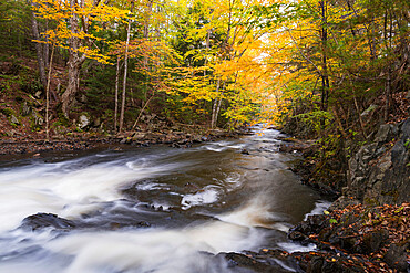 Miller's Falls in Autumn, Fall River, Nova Scotia, Canada, North America