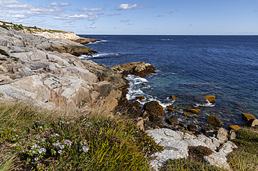 Rocky Shoreline at Duncan's Cove Nature Reserve, Nova Scotia, Canada