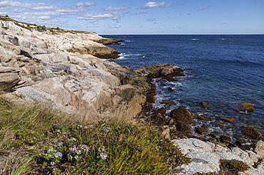 Rocky Shoreline at Duncan's Cove Nature Reserve, Nova Scotia, Canada