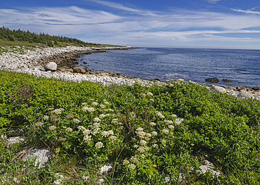 Rocky Coastline by the Atlantic Ocean, Dr. Bill Freedman Nature Preserve, Nature Conservancy of Canada, Nova Scotia, Canada, North America