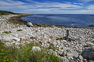 Rocky Coastline by the Atlantic Ocean, Dr. Bill Freedman Nature Preserve, Nature Conservancy of Canada, Nova Scotia, Canada, North America