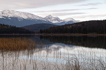 Mount Fitzwilliam at Pyramid Lake in Autumn with snow, Jasper National Park, UNESCO World Heritage Site, Alberta, Canadian Rockies, Canada, North America