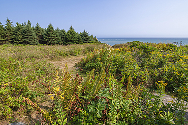 Lawrencetown Provincial Park, Nova Scotia, Canada