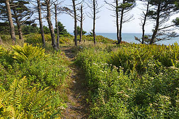 Lawrencetown Provincial Park, Nova Scotia, Canada