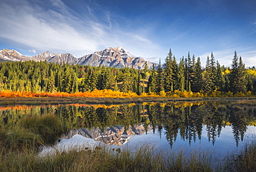 Pyramid Mountain reflected in a lake with autumn colour, Jasper National Park, UNESCO World Heritage Site, Canadian Rockies, Alberta, Canada, North America