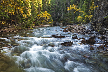 River flowing through Maligne Canyon with autumn foliage, Jasper National Park, UNESCO World Heritage Site, Alberta, Canada, North America