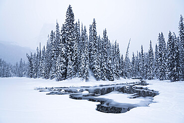 Snow-covered winter forest with frozen lake, Emerald Lake, Yoho National Park, UNESCO World Heritage Site, British Columbia, The Rockies, Canada, North America