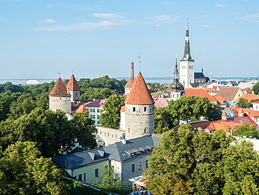 View of the the Old Town, UNESCO World Heritage Site, from the Toompea (Upper Town) wall, Tallinn, Estonia, Baltics, Europe