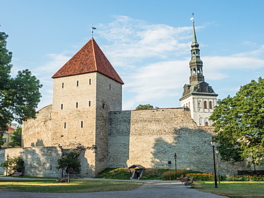 Medieval city wall, Tallinn, Estonia, Baltics, Europe