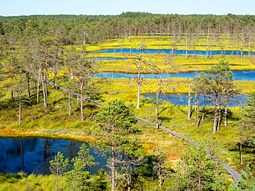 Viru bog, Lahemaa National Park, Estonia, Baltics, Europe