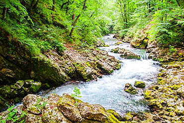 Radovna River flowing through Vintgar Gorge, near Bled, Slovenia, Europe