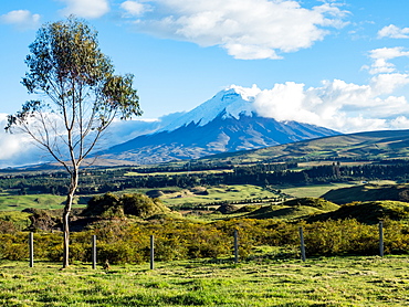 Green farmland and Cotopaxi volcano, Andes mountains, Ecuador, South America