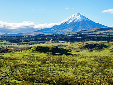 Cotopaxi volcano, Cotopaxi National Park, Andes mountains, Ecuador, South America