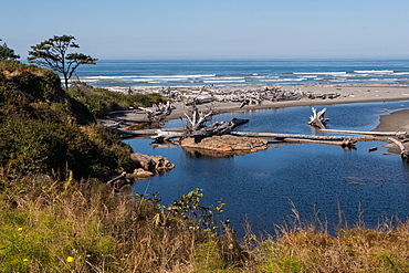 Pacific coast beach with driftwood, Olympic National Park, UNESCO World Heritage Site, Washington State, United States of America, North America