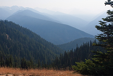 Mountains, Olympic National Park, UNESCO World Heritage Site, Washington State, United States of America, North America