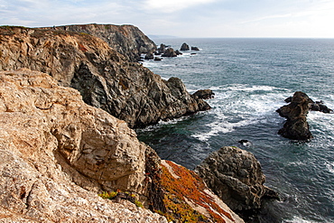 Sonoma Coast, California, United States of America, North America