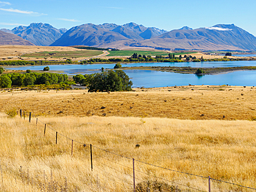 The grassy rangelands and brown hills around Lake Tekapo, Canterbury Region, South Island, New Zealand, Pacific