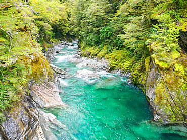 Blue River, West Coast, South Island, New Zealand, Pacific