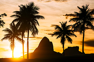 Sunset with the iconic Two Brothers Mountains in the backgrounds with palm trees in the foreground, Rio de Janeiro, Brazil, South America