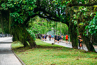 People stroll along the pedestrian path alongside Lagoa Rodrigo de Freitas, Rio de Janeiro, Brazil, South America