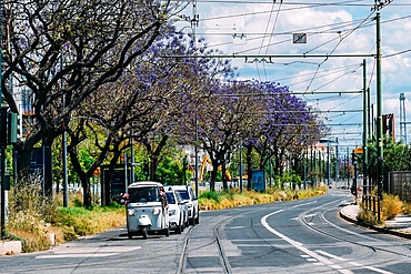 A white tuktuk traveling along a sunlit Lisbon boulevard lined with blooming purple Jacaranda trees, with tram tracks in the roadway, Lisbon, Portugal, Europe