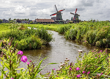 Windmills in Zaanse Schans, Zaandam, North Holland, The Netherlands, Europe