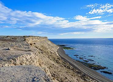 Punta Ninfas, Atlantic Coast, Chubut Province, Patagonia, Argentina, South America