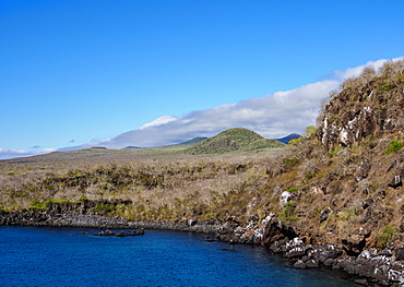 Landscape of western coast, San Cristobal (Chatham) Island, Galapagos, UNESCO World Heritage Site, Ecuador, South America