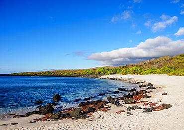 Baquerizo Beach, San Cristobal (Chatham) Island, Galapagos, UNESCO World Heritage Site, Ecuador, South America