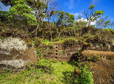 Rock Labyrinth, Asilo de la Paz, Highlands of Floreana (Charles) Island, Galapagos, UNESCO World Heritage Site, Ecuador, South America