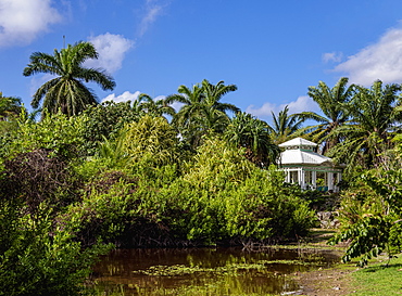 Queen Elizabeth II Botanic Park, North Side, Grand Cayman, Cayman Islands, Caribbean, Central America