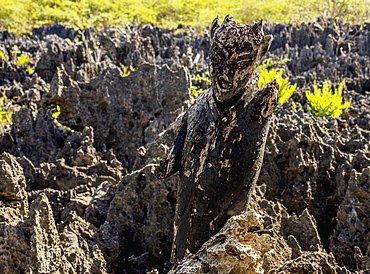 Devil Figure in Hell, West Bay, Grand Cayman, Cayman Islands, Caribbean, Central America