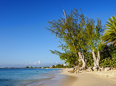 Seven Mile Beach, George Town, Grand Cayman, Cayman Islands, Caribbean, Central America