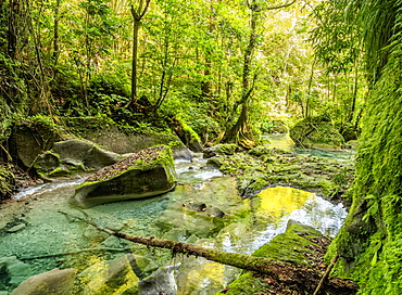 Reach Falls River, Portland Parish, Jamaica, West Indies, Caribbean, Central America