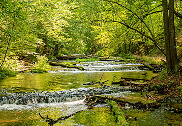 Cascades on the Tanew River, Szumy nad Tanwia, Tanew Nature Reserve, Roztocze, Lublin Voivodeship, Poland, Europe