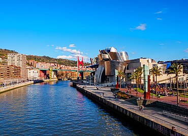 The Guggenheim Museum in Bilbao, Biscay, Basque Country, Spain, Europe