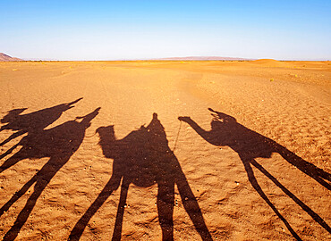 Shadows of people riding camels in a caravan in Zagora Desert, Draa-Tafilalet Region, Morocco, North Africa, Africa