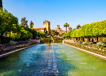 Gardens of Alcazar de los Reyes Cristianos (Alcazar of the Christian Monarchs), UNESCO World Heritage Site, Cordoba, Andalusia, Spain, Europe