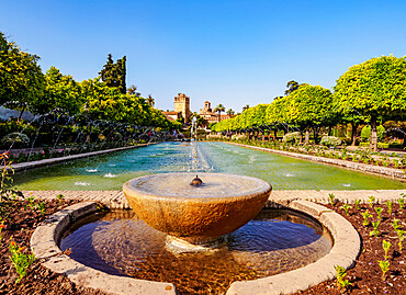 Gardens of Alcazar de los Reyes Cristianos (Alcazar of the Christian Monarchs), UNESCO World Heritage Site, Cordoba, Andalusia, Spain, Europe